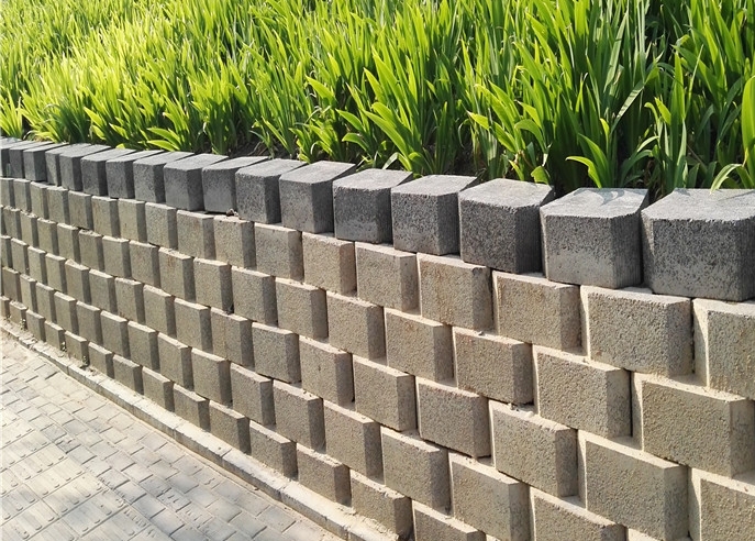 20190605_133443.jpg
